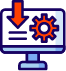 Custom software
